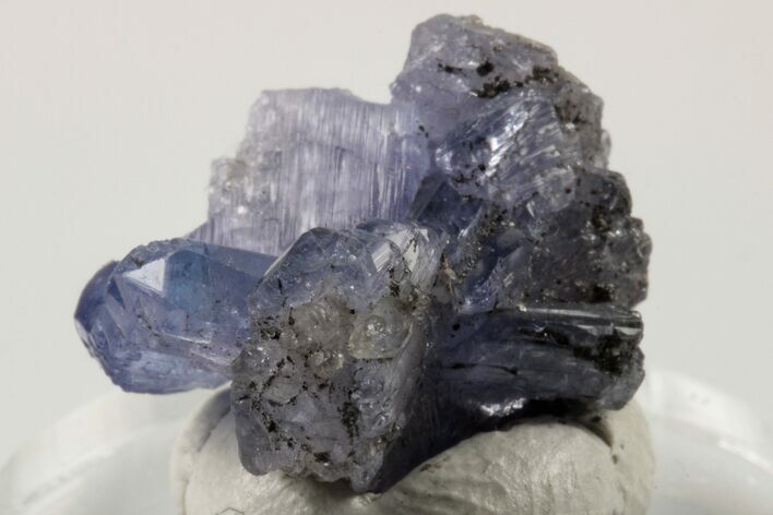 Blue-Violet Tanzanite Crystal Cluster - Merelani Hills, Tanzania #190891